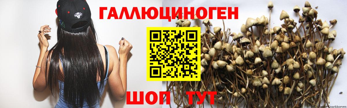 Псилоцибиновые грибы GOLDEN TEACHER Зеленодольск